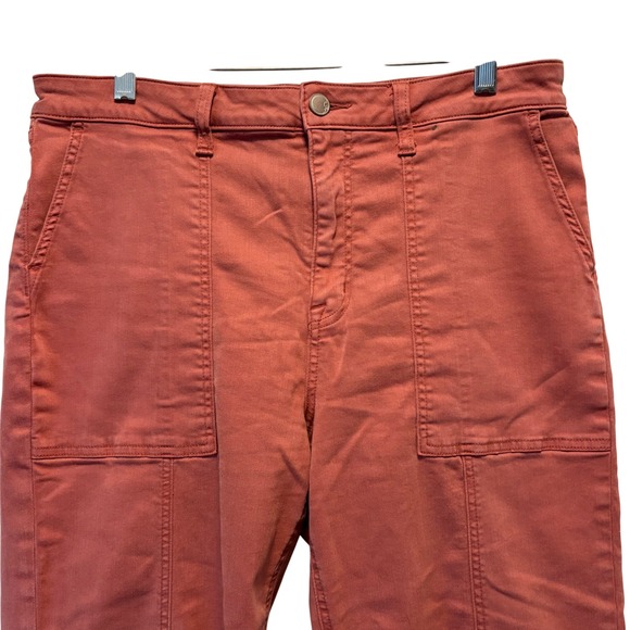 cosmic blue love Pants - Cosmic Blue Love Terracotta Women's Size 31 Utility Straight Leg Pants